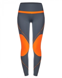 Fitness Legging