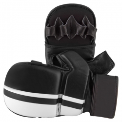 MMA Gloves